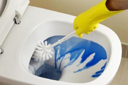 Hogyan tisztítsa meg a WC-csésze friss ötleteket 2013 - mikrohullámú utasításokat a mindennapi tevékenységek