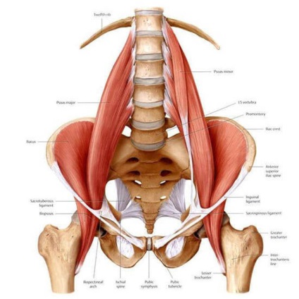 Cum să ajuți 3 exerciții musculare lombare pentru ameliorarea sindromului de durere