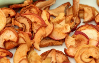 Hogyan száradni az almát otthon a sütőben, Villamos szárítók
