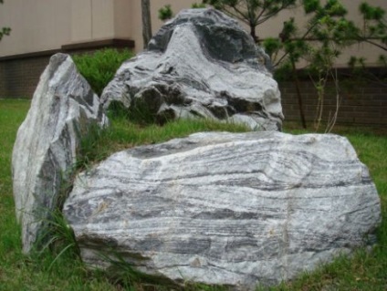 Köveket az alpesi csúszda - hol kap, és hogyan kell választani