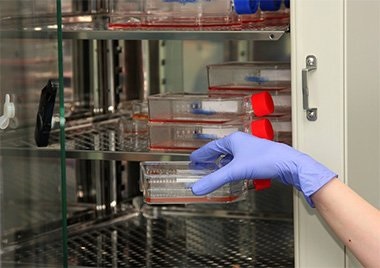 Laboratorul de culturi de țesut celular