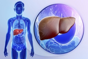 Tratamentul fibrozei hepatice, răspunsurile medicilor, consultații