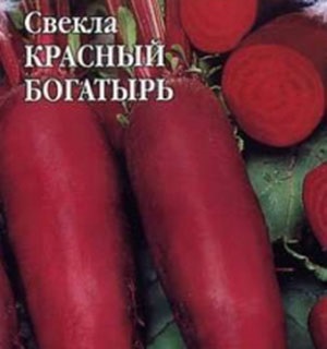 Top répa fajták termesztésére Szibériában és az Urál