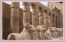 Luxor Vonzerőkhöz, kirándulások