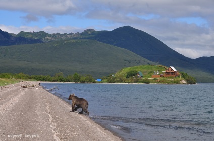 Bear Paradise pe Kamchatka