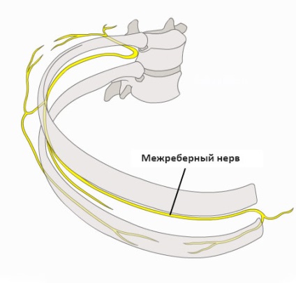 Semne de nevralgie intercostală și metode de tratament