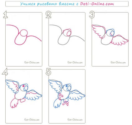 Rajzolj egy papagáj lépésről lépésre - hogyan kell felhívni a ceruzát sas szakaszaiban