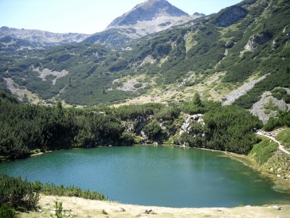 Pirin Nemzeti Park leírás, városnézés, információt, hogyan lehet