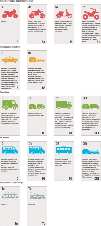 Noul permis de conducere (permis de conducere nou) de la 1 aprilie 2014