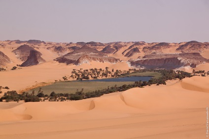 Oaze în marea infinită a nisipurilor din Africa, proaspătă - cea mai bună din Runet pentru o zi!