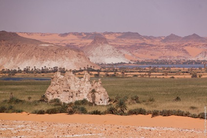 Oaze în marea infinită a nisipurilor din Africa, proaspătă - cea mai bună din Runet pentru o zi!