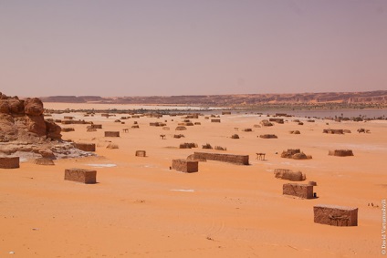 Oaze în marea infinită a nisipurilor din Africa, proaspătă - cea mai bună din Runet pentru o zi!