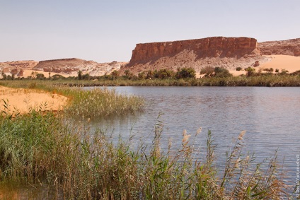 Oaze în marea infinită a nisipurilor din Africa, proaspătă - cea mai bună din Runet pentru o zi!