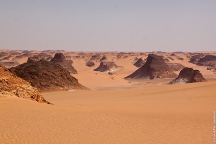 Oaze în marea infinită a nisipurilor din Africa, proaspătă - cea mai bună din Runet pentru o zi!