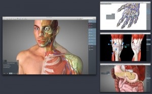 Преглед 3d програми за човешката анатомия, добри съвети