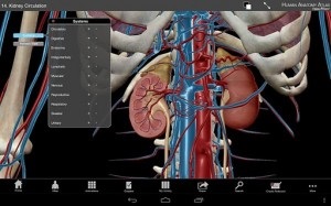 Revizuirea programelor 3d pentru anatomie umană, sfaturi bune