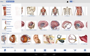 Revizuirea programelor 3d pentru anatomie umană, sfaturi bune