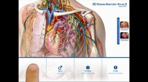 Revizuirea programelor 3d pentru anatomie umană, sfaturi bune