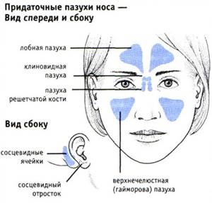 Sinusurile paranazale - patologie, diagnostic, tratament