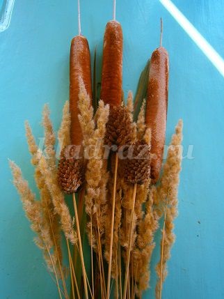 Toamnă buchet de materiale naturale cu mâinile lor