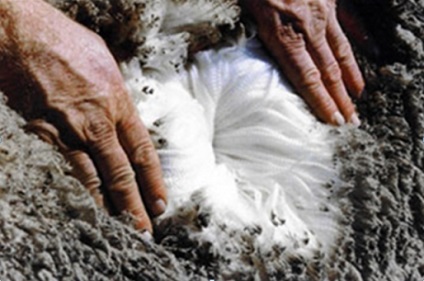 Principalele direcții de utilizare economică a deșeurilor textile