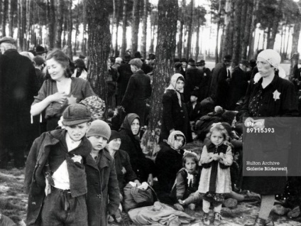 Mituri și fapte din Auschwitz