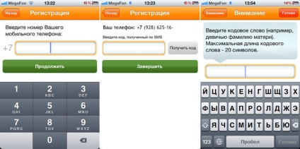 Platfon »revizuirea serviciului de plăți mobile - articole