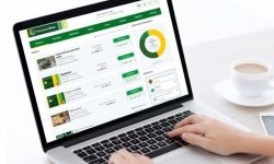Portal despre sistemele de plăți