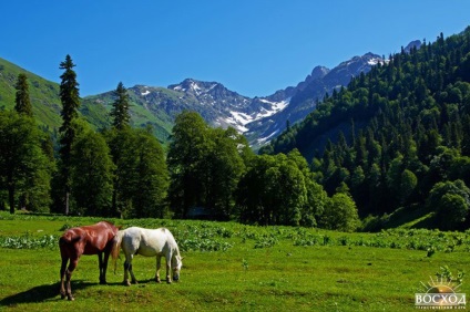 Călătorie în Abhazia