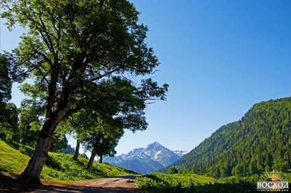 Călătorie în Abhazia