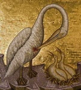 Este adevărat că pelicani, în absența hranei pentru pui, își deschid sânii cu ciocurile și își hrănesc propriile