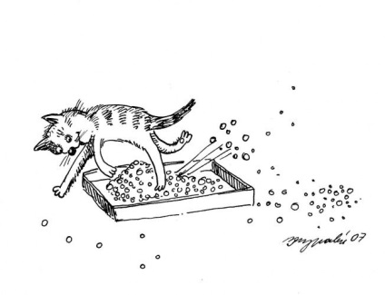 Reguli de pisici de la margarita macarale (18 imagini) - trinitate