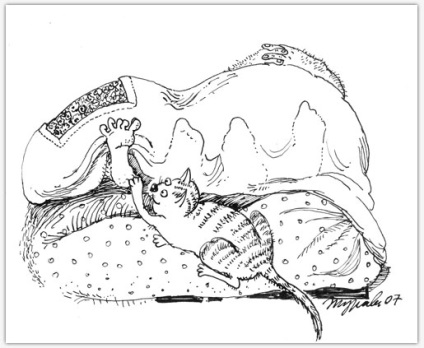 Szabályok macskák Margarita Zhuravleva (18 kép) - triniksi