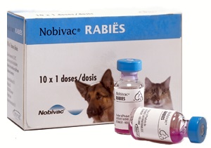 Vaccinări pentru câini - ce și când, prietenul tău vagi)