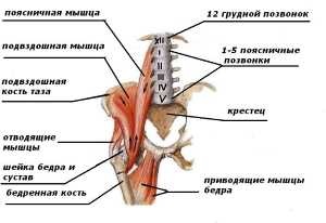 Deformarea înapoi