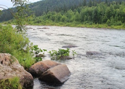 Râul Kosvar