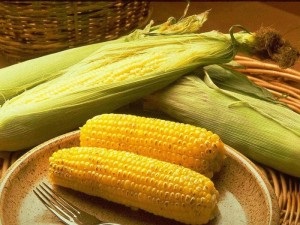 Receptek kukorica selyem, hatékony a fogyás - hasznos tulajdonságok, gyűjtése és