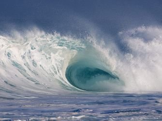 Cel mai tulburat ocean este fauna salbatica