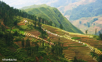 Sapa Vietnam - rizs teraszok, hegyi tájak és népek - utazás rinochkoy