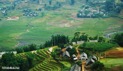 Sapa Vietnam - rizs teraszok, hegyi tájak és népek - utazás rinochkoy