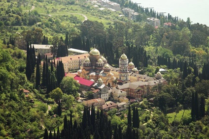 Colecție de mandarine în Abhazia, un călător plăcut