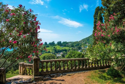 Colecție de mandarine în Abhazia, un călător plăcut