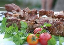 Shish kebab - licitație - din file de pui