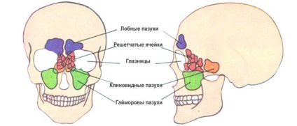 Simptomele și tratamentul inflamației sinusurilor paranazale