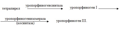 Sinteza clorofilei