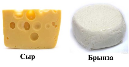 Brânză și brânză