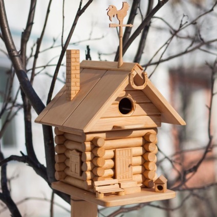 O pasăre cu mâinile noastre - 61 de fotografii ale ideilor de a construi o frumoasă birdhouse