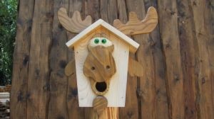 O pasăre cu mâinile noastre - 61 de fotografii ale ideilor de a construi o frumoasă birdhouse