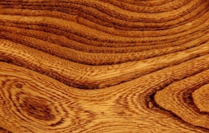 Prelucrarea specială a lemnului - o căutare reușită
