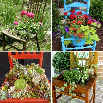 Vechiul scaun transformă într-un pat de flori 50 de idei pentru flori de gradina si plante de interior